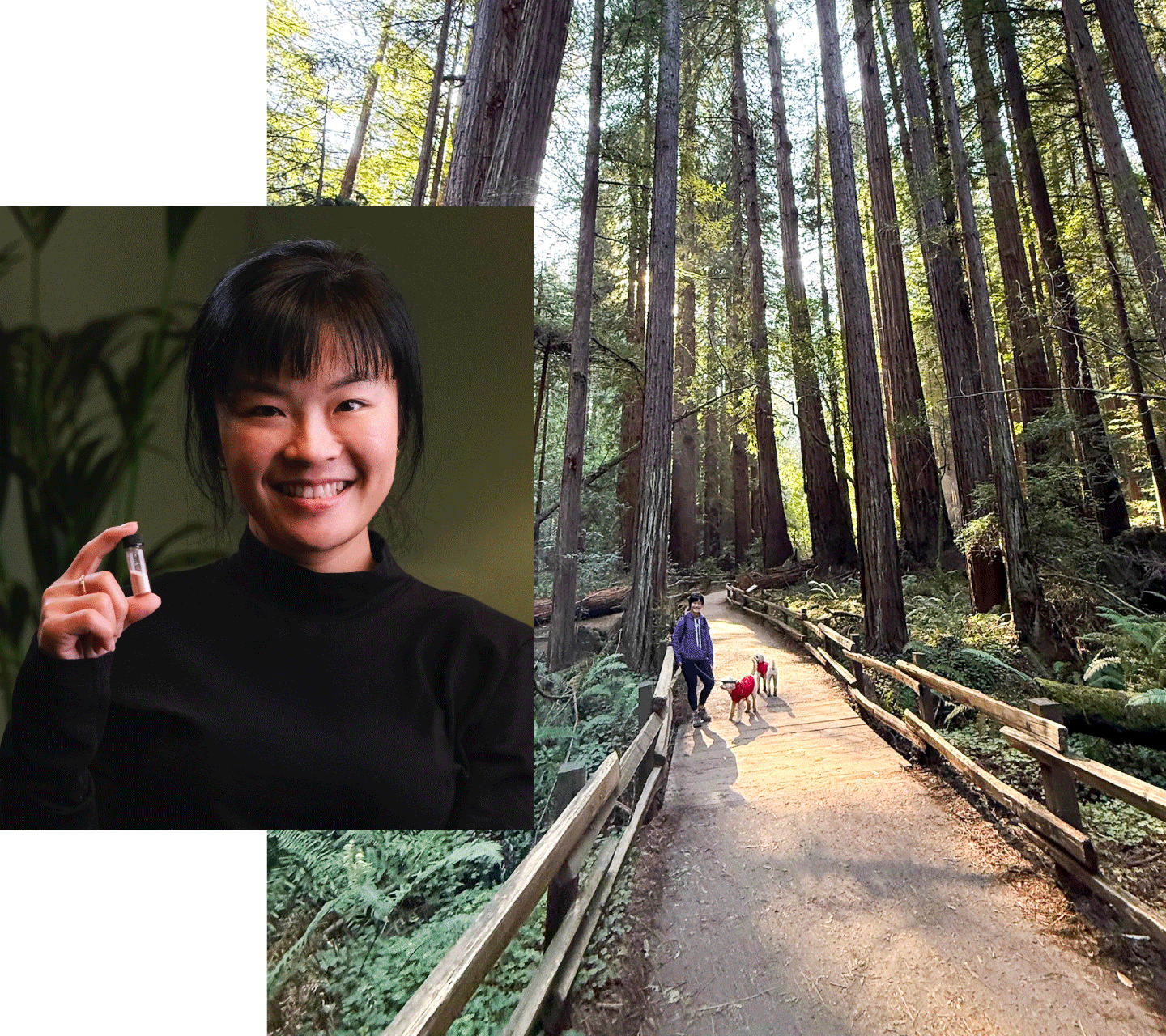 Intentional founder Fengru holding vial of IronKind ingredient Lactoferrin and hiking in the forest with her 2 dogs